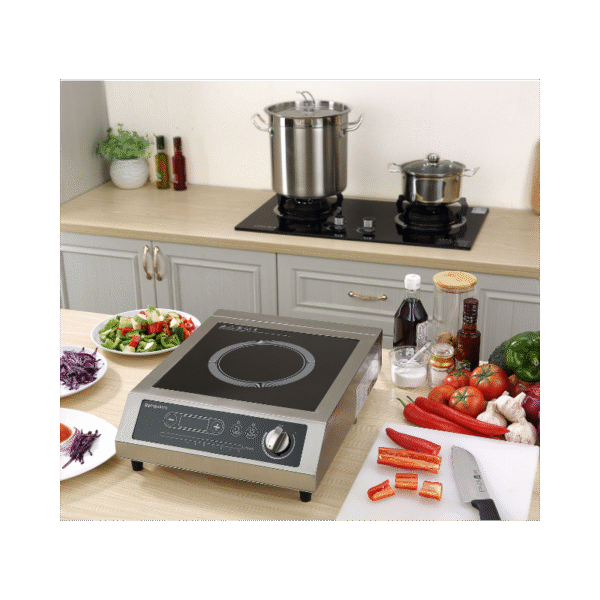 Location plaque de cuisson électrique