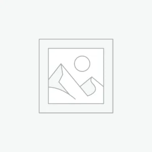 Location friteuse professionnelle 12L